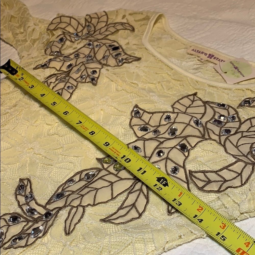 Alter’d State lace long sleeve sheath dress. Small - Picture 8 of 8